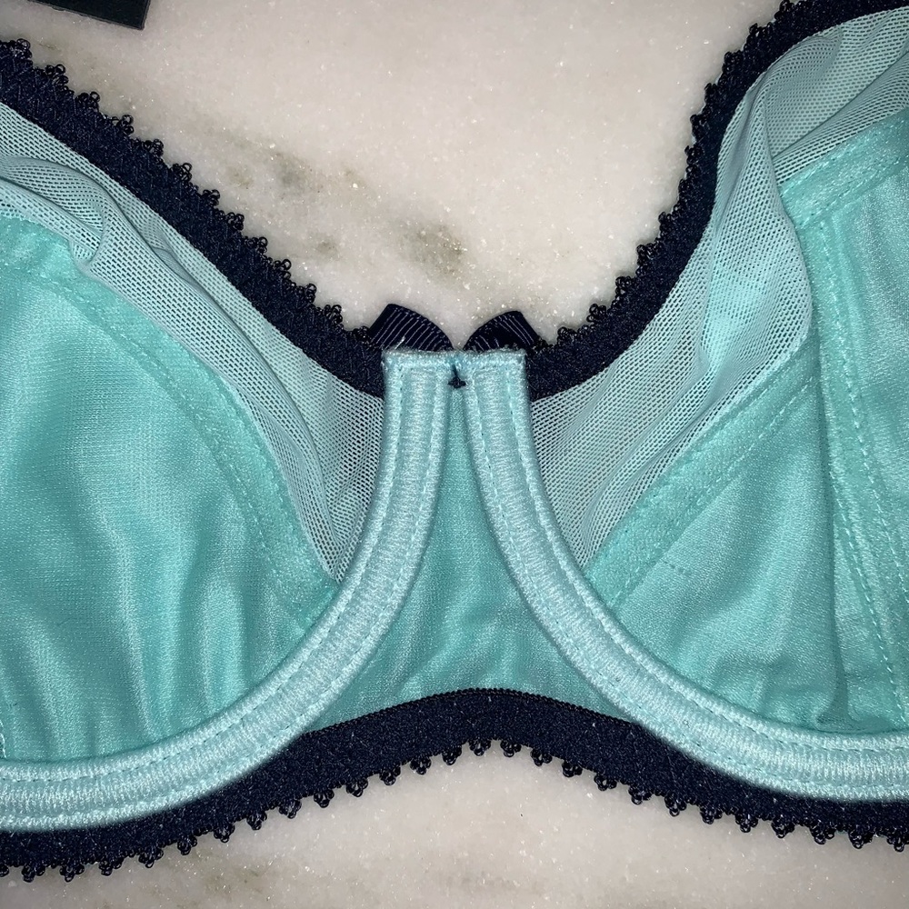 Claudette Dessous Paramour Bra - Picture 6 of 10
